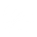 S2