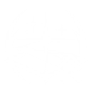 S6
