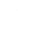 S1