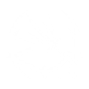 S5