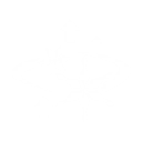 S6