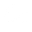 S1