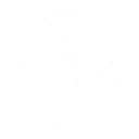S1