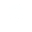 S6