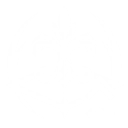 S1