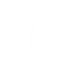 S3
