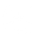 S1