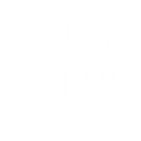 S6