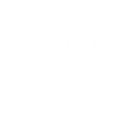 S1