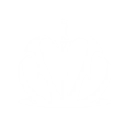 S4