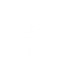 S6