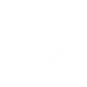 S6