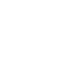 S1