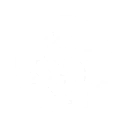 S2