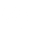 S4