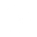 S1
