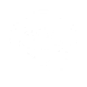 S1