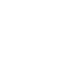 Intro