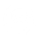 S1