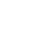 S1