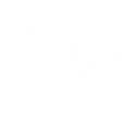 S3
