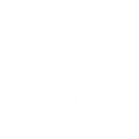S1