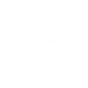 S2