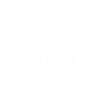 S1