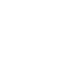 S1