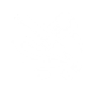 Intro