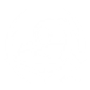 S1