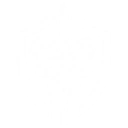 S1