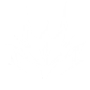 Forte