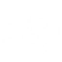 S1