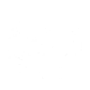 S1