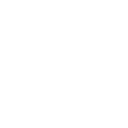 S1
