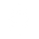 S1
