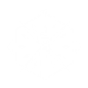 S2