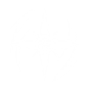 S4
