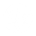 S6