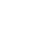 S1