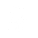 S4