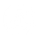 S1