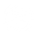 S1