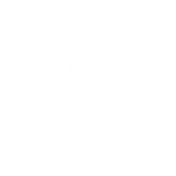 S1