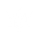 S1
