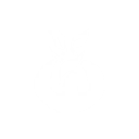 S3