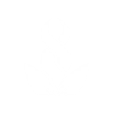 S6