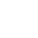 S4