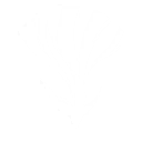 Intro